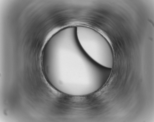 X0000096441437200801241108