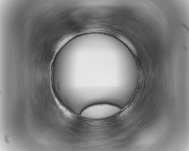 X0000096441439200801241108