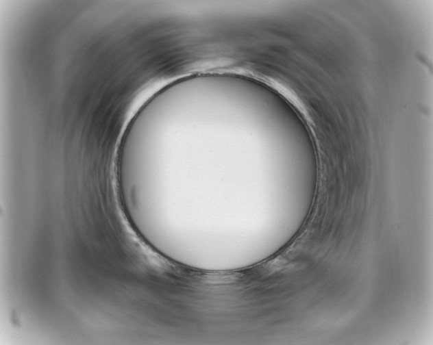 X0000096441440200801241108