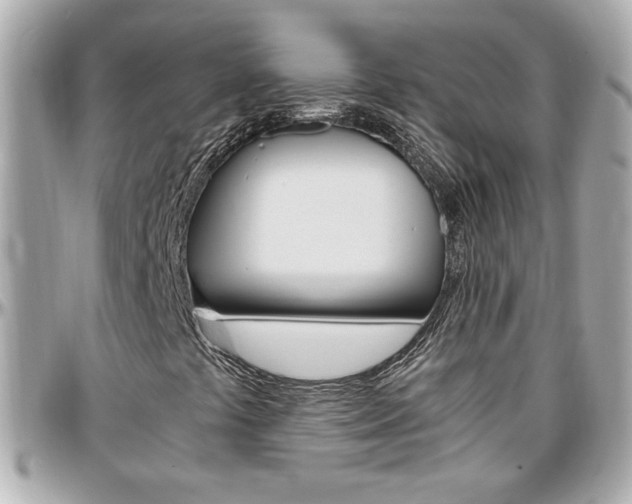 X0000096441441200801241107