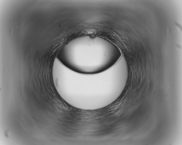 X0000096441442200801241107