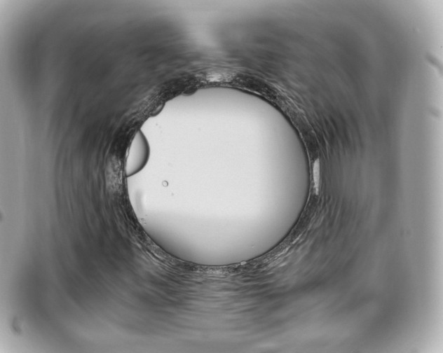 X0000096441443200801241107