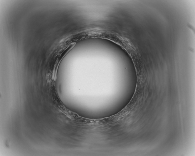 X0000096441445200801241107