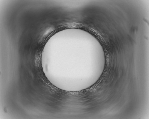 X0000096441446200801241107