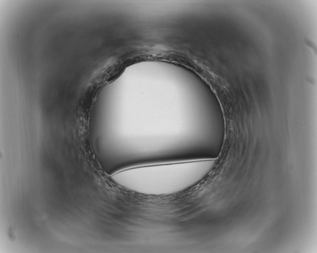 X0000096441447200801241107