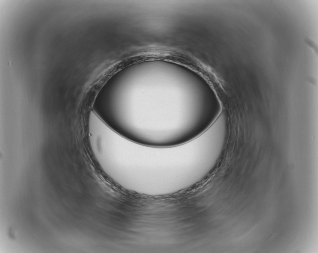 X0000096441448200801241107