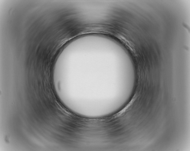 X0000096441449200801241107