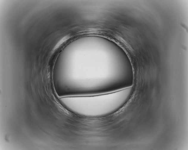 X0000096441450200801241107
