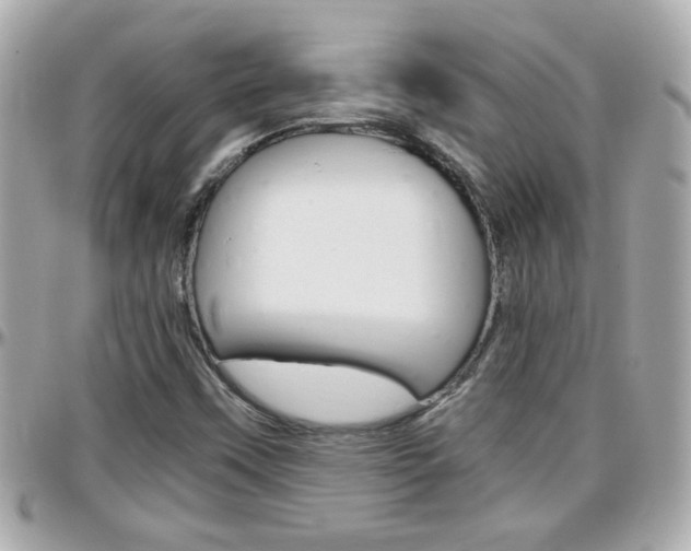X0000096441451200801241107