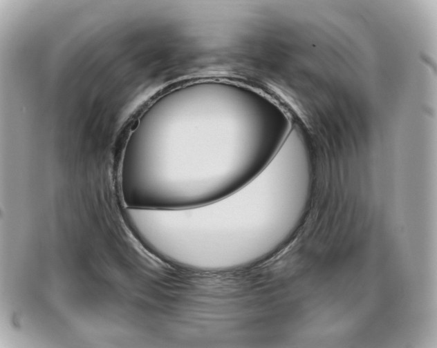 X0000096441452200801241107