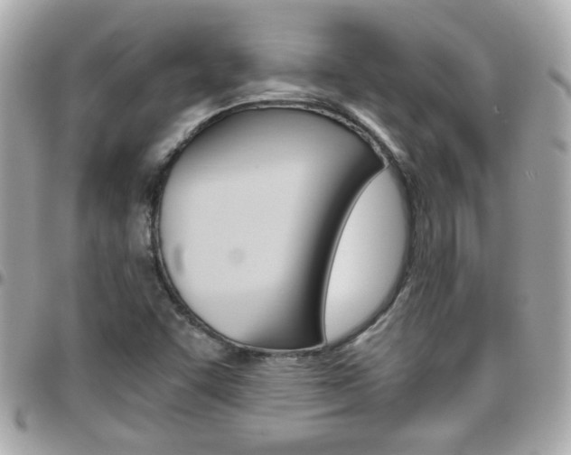 X0000096441455200801241107