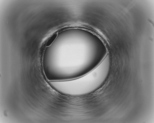 X0000096441456200801241107