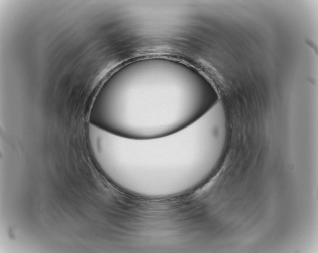 X0000096441457200801241107