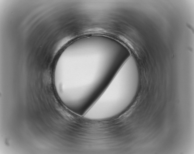 X0000096441458200801241107