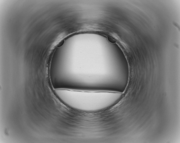 X0000096441459200801241107