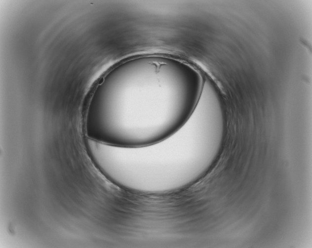 X0000096441460200801241107