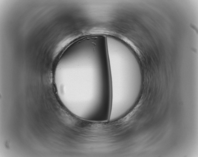 X0000096441461200801241107