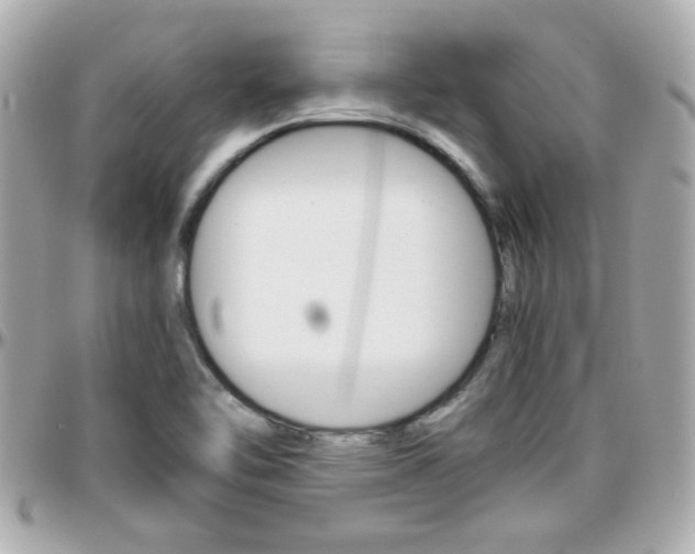 X0000096441462200801241107