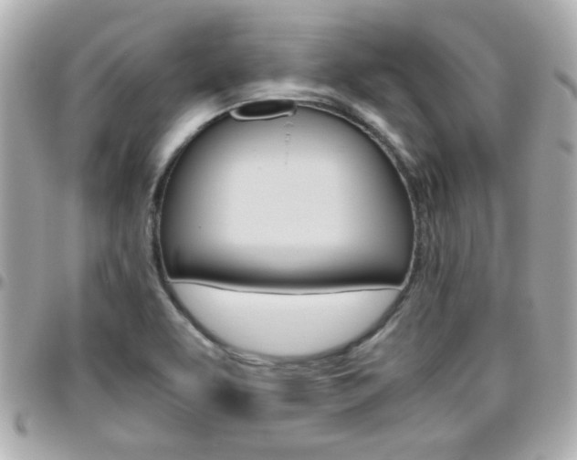 X0000096441463200801241107