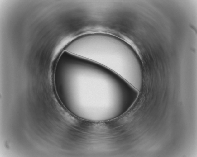 X0000096441464200801241107