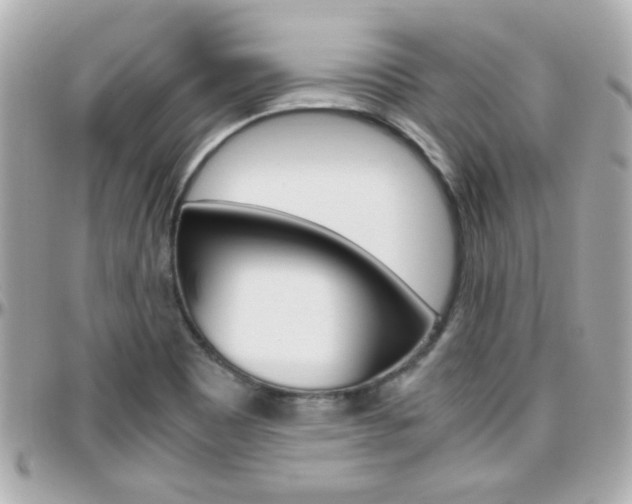 X0000096441465200801241107