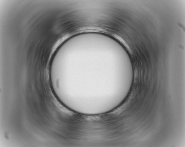 X0000096441466200801241107