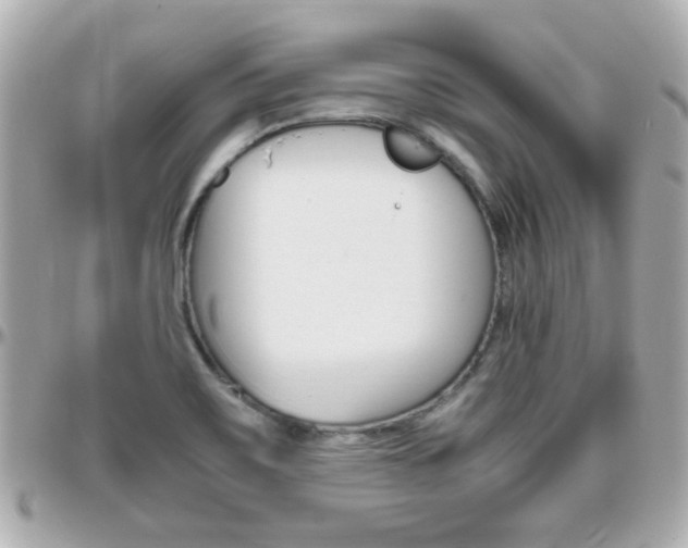 X0000096441467200801241107