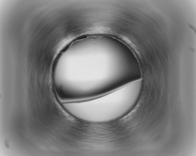 X0000096441469200801241107