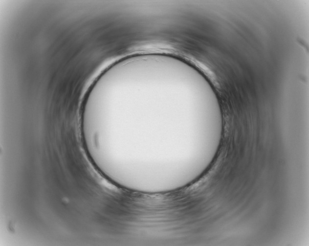 X0000096441470200801241107
