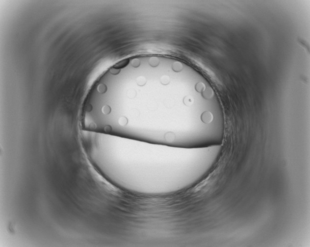 X0000096441471200801241107
