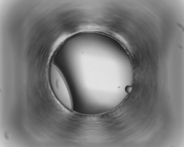 X0000096441472200801241107