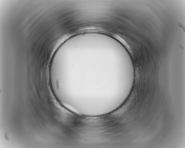 X0000096441474200801241107