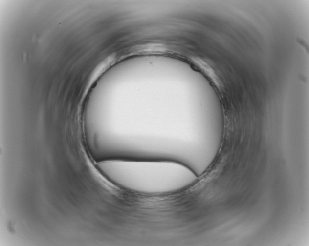 X0000096441475200801241107