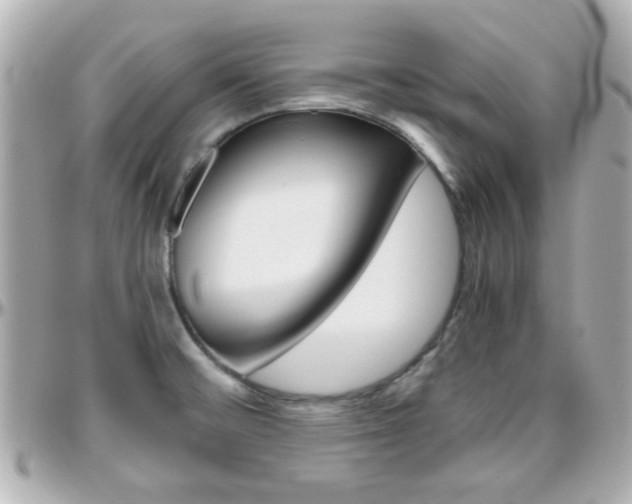 X0000096441476200801241107