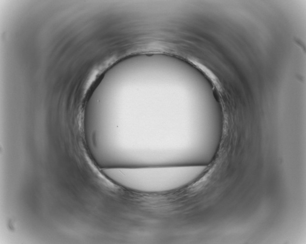 X0000096441477200801241107