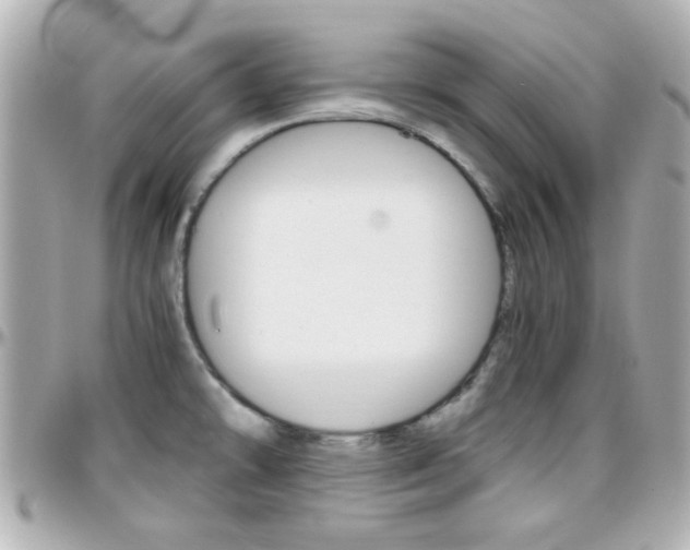 X0000096441478200801241107