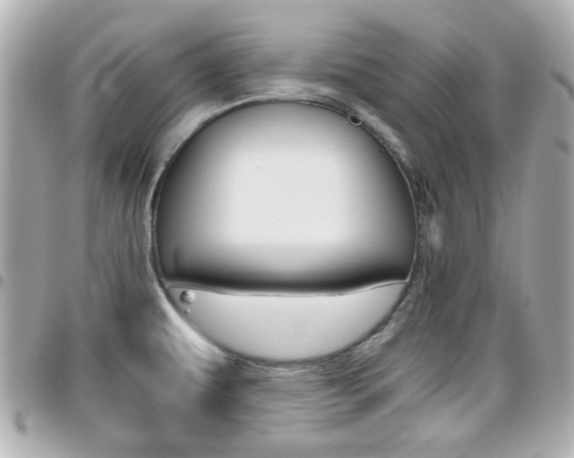 X0000096441479200801241107