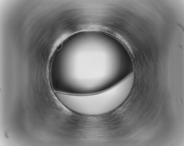 X0000096441480200801241107