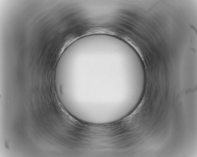X0000096441481200801241107
