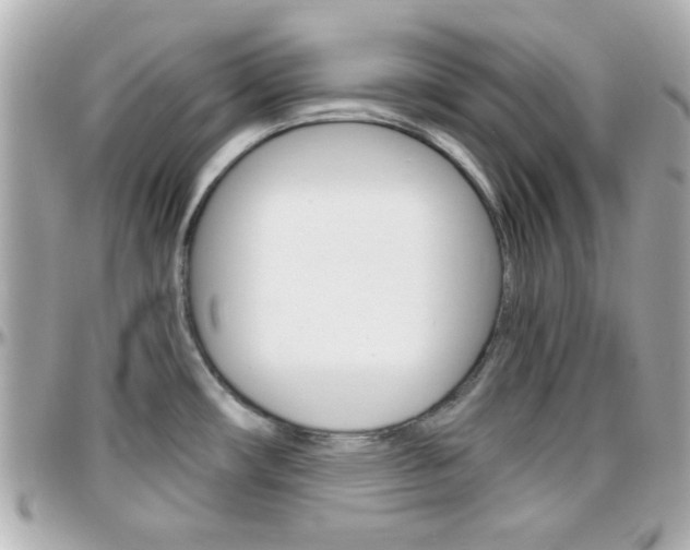 X0000096441482200801241107