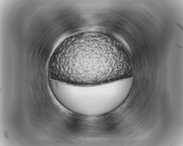 X0000096441483200801241107