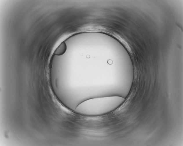 X0000096441486200801241107