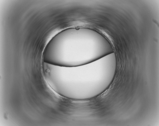X0000096441487200801241107