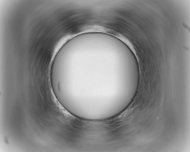 X0000096441488200801241107