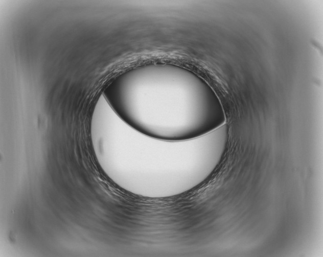 X0000096441492200801241106