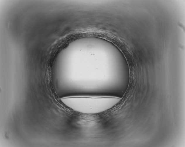 X0000096441493200801241106