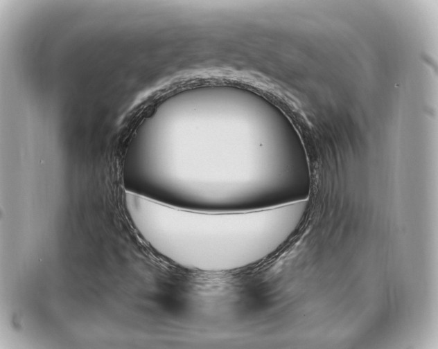 X0000096441494200801241106
