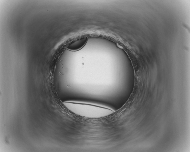 X0000096441495200801241106