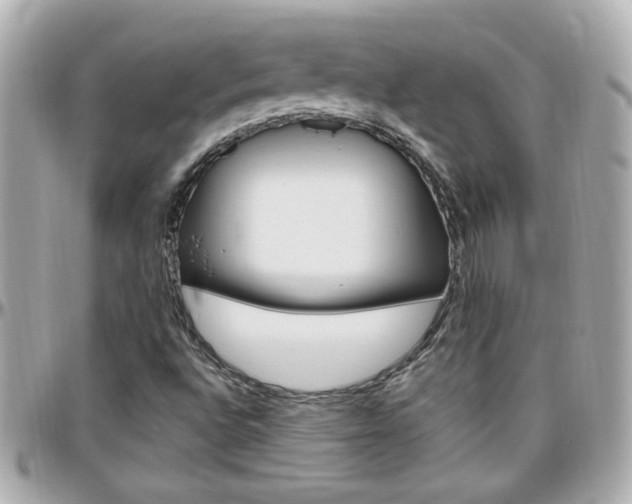 X0000096441496200801241106