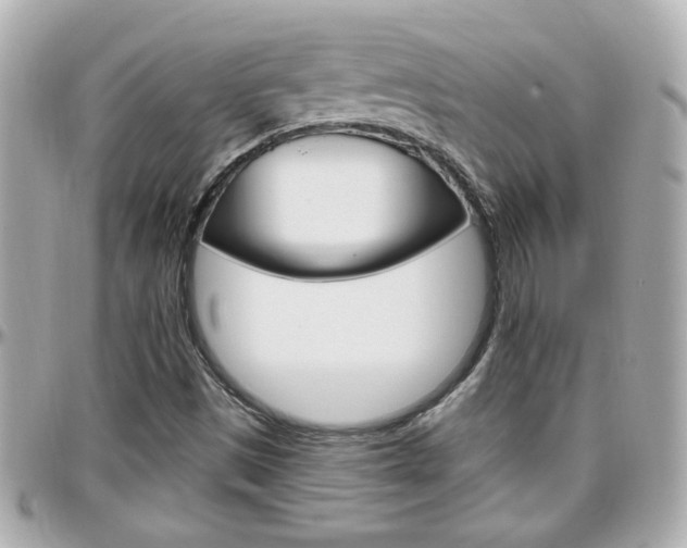 X0000096441497200801241106